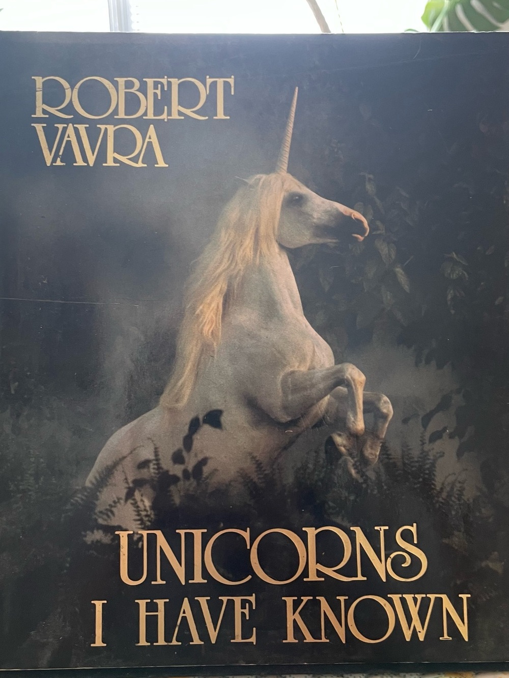Robert Vavra Unicorns I Have Known Book - Black Cover with Gold Lettering